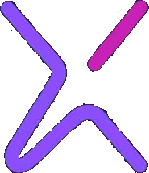 iDeepX